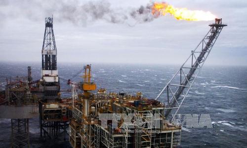 Giá dầu Brent sắp chạm mốc 80 USD/thùng